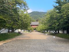 -醍醐寺