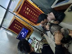 -美联众合动物医院·伴可分院·内科中心医院