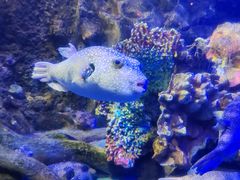 -太平洋海底世界