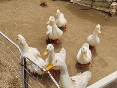 -HERRE·FARM 赫尔露营农场·团建聚会包场