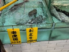-寻味顺德·南记酒家·传统顺德菜·鱼生(广源路店)
