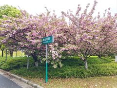 -江南大学(蠡湖校区)