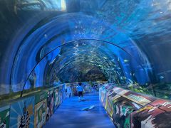 -太平洋海底世界