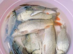 -仙海旅游度假区