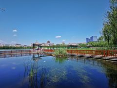 -莲花池公园