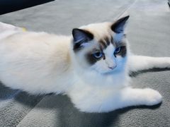 -零纪元VR体验馆·桌游(黄浦店)