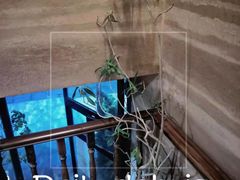 -疆里疆外·和田烤肉·清真