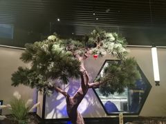 -绿茶餐厅(成都大悦城店)