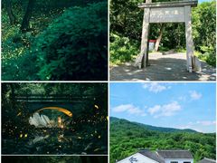 -老山国家森林公园
