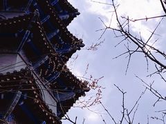 -圣莲山风景区