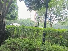 -熊猫自助餐厅.萌趣城堡(长隆熊猫酒店)