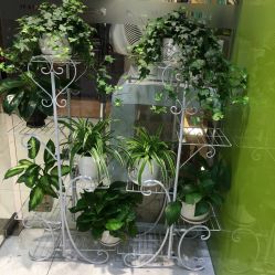 -京世沙龙