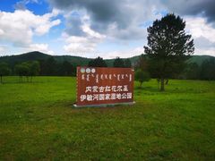 -红花尔基樟子松国家森林公园