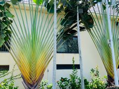 -三亚南山文化旅游区