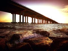 -宝安西湾红树林湿地公园