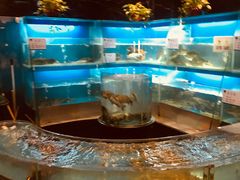 水产区-眉州东坡(北苑华贸店)