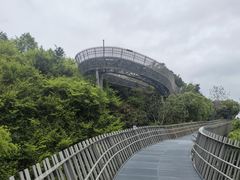 -福道