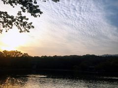 -紫霞湖公园