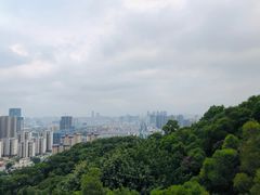 -金鸡山公园