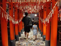 -西月山居匠心创意料理(江汉路新佳丽广场店)