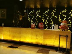 -上海龙之梦万丽酒店