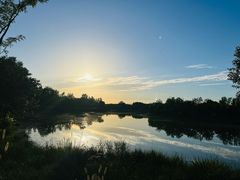 -东郊湿地公园