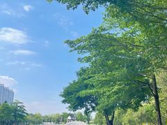 -映月湖公园
