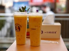 -一只酸奶牛(八一路店)