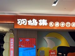 -羽鸽集·乳鸽专门店·地道顺德菜(岭南站店)
