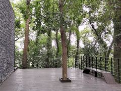 -上海佘山国家森林公园西佘山园