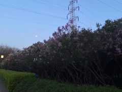 -古塔公园