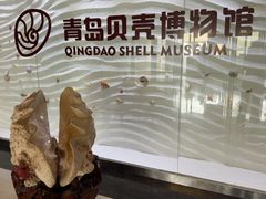 -青岛贝壳博物馆