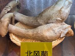 -菌海森林·非遗野生菌火锅(西山区滇池路摩根道店)