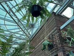 -国家植物园南园