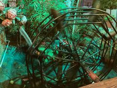 -园林美食城·本土农家菜(杨和镇店)