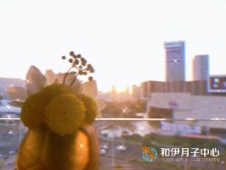 -和伊母婴护理中心·全套房(金山店)