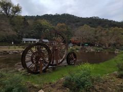 -广州市石门国家森林公园