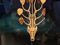 -呼和浩特博物馆