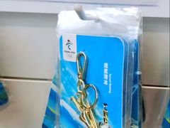 -国家会议中心大酒店-地上停车场