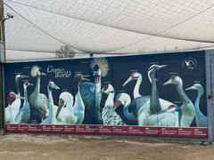 -盐城丹顶鹤湿地生态旅游区