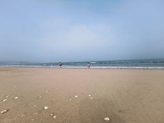 -长江澳风力发电景观区