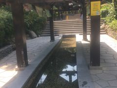 -融汇温泉