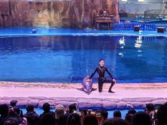 -华夏文旅海洋公园