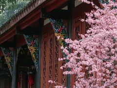 -青羊宫