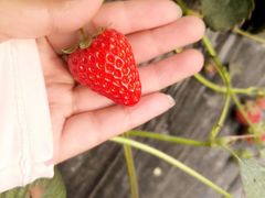 -兴芮温泉度假区