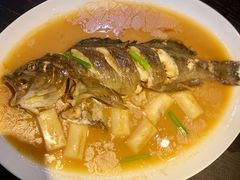 -甄御•海鲜新青岛菜(麦岛店)