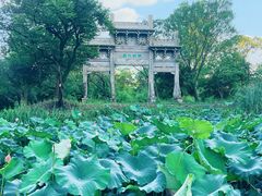 -西溪国家湿地公园