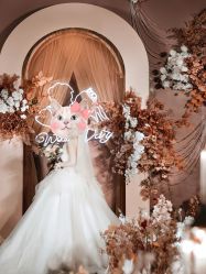 点击看大图 -红丝高端婚礼中心(旗舰店)