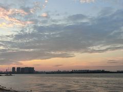 -瑶湖郊野森林公园