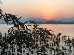 -湖畔居茶楼(湖滨店)